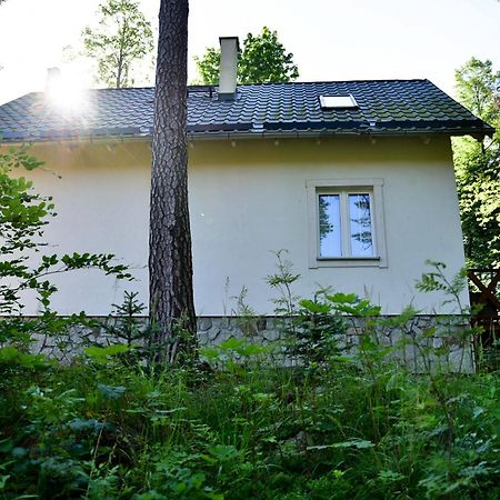 Gorski Domek Kolo Karpacza- Apartamentuj Exteriör bild