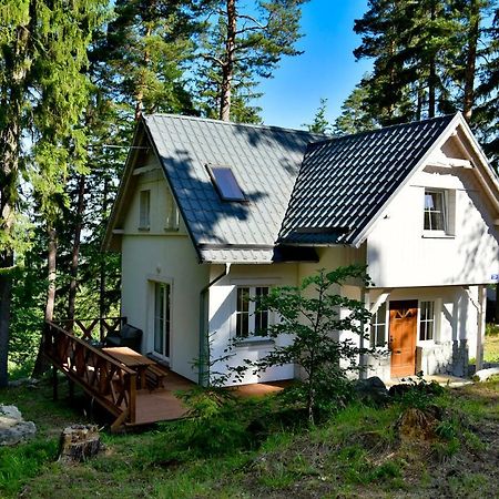Gorski Domek Kolo Karpacza- Apartamentuj Exteriör bild