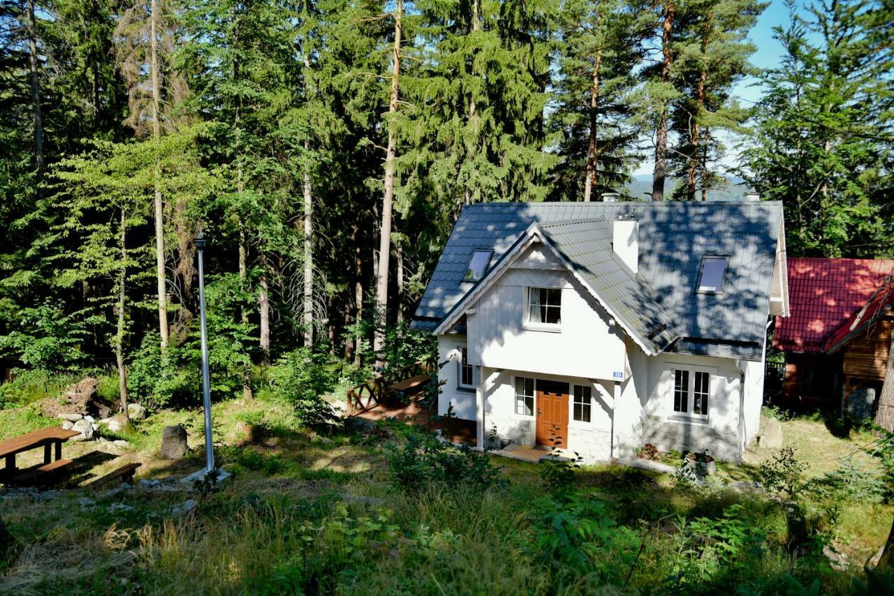 Gorski Domek Kolo Karpacza- Apartamentuj Exteriör bild