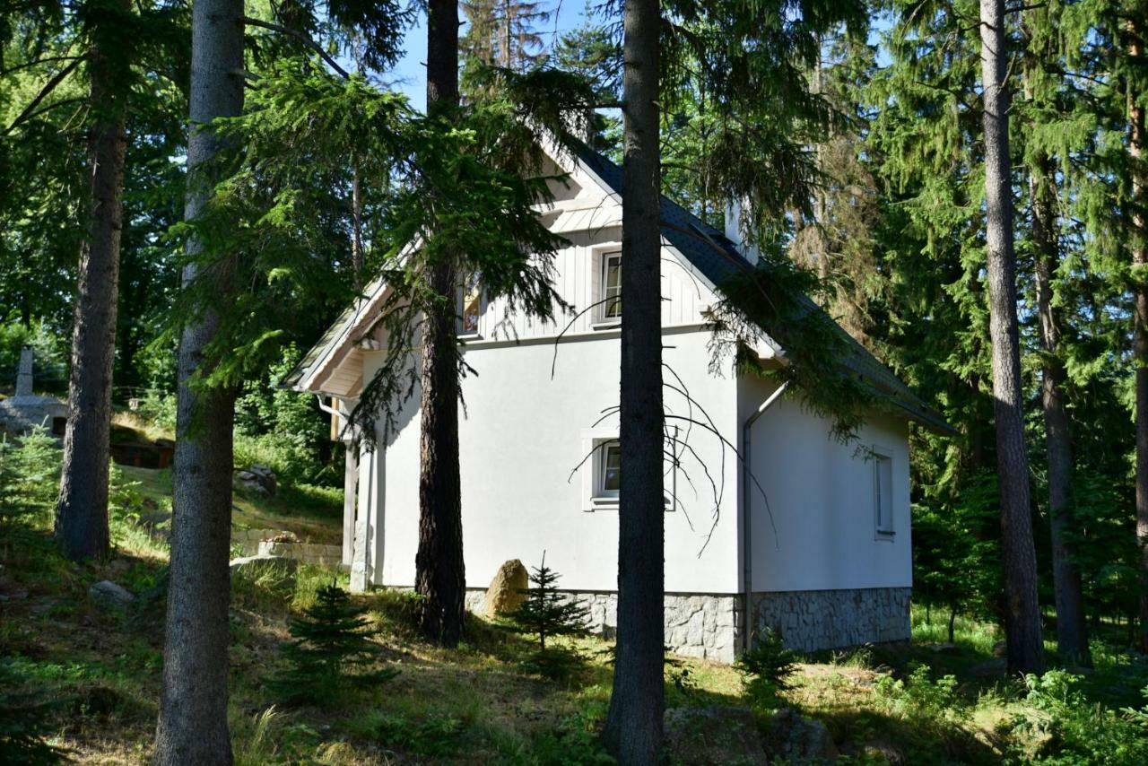 Gorski Domek Kolo Karpacza- Apartamentuj Exteriör bild
