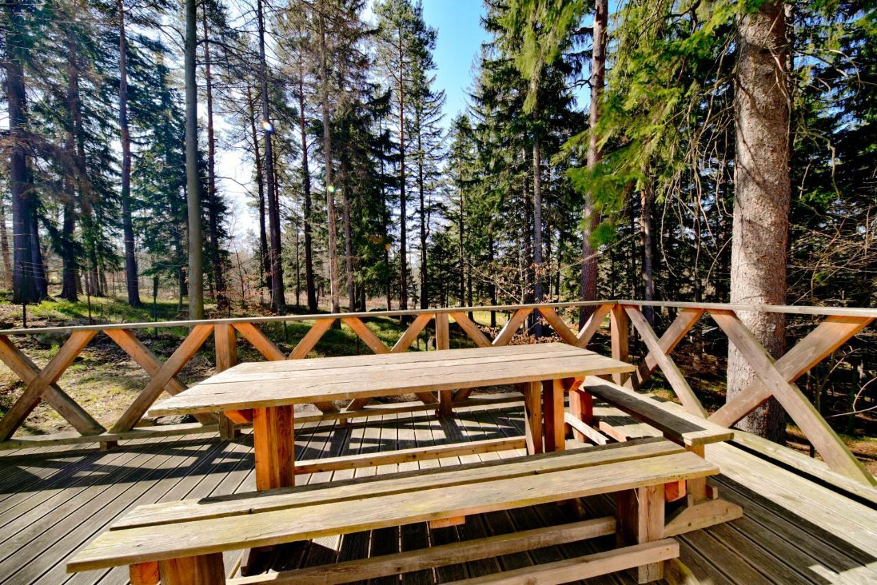 Gorski Domek Kolo Karpacza- Apartamentuj Exteriör bild